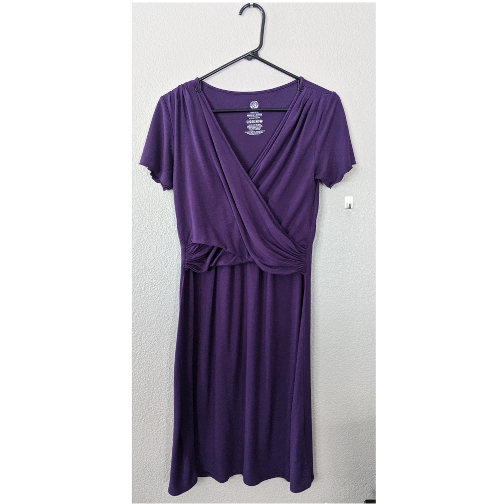 Kindred Bravely Angelina Nursing Nightgown Dress